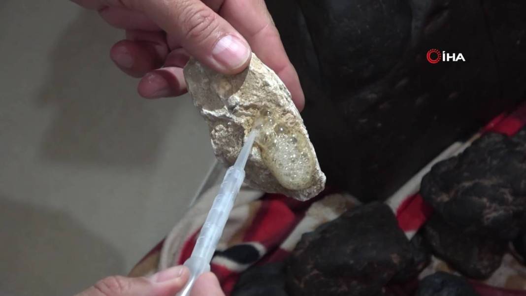 Mantar toplarken bir anda Afet Yönetim Merkezi'ni arayıp, 'Hemen gelin' dedi! Öyle bir manzarayla karşılaştı ki... 16